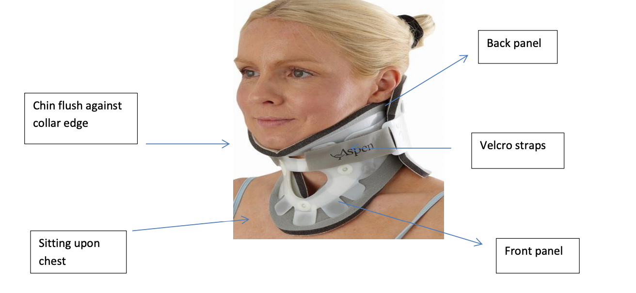 surgical collar example